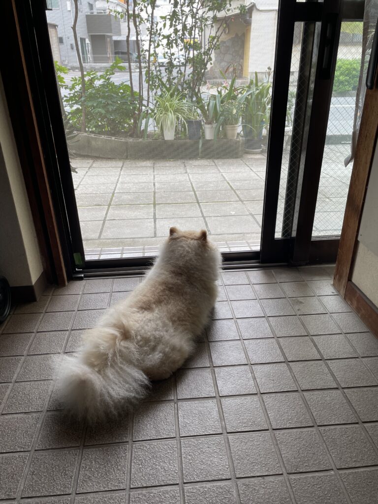 2025年6月13日_お気に入りの場所
