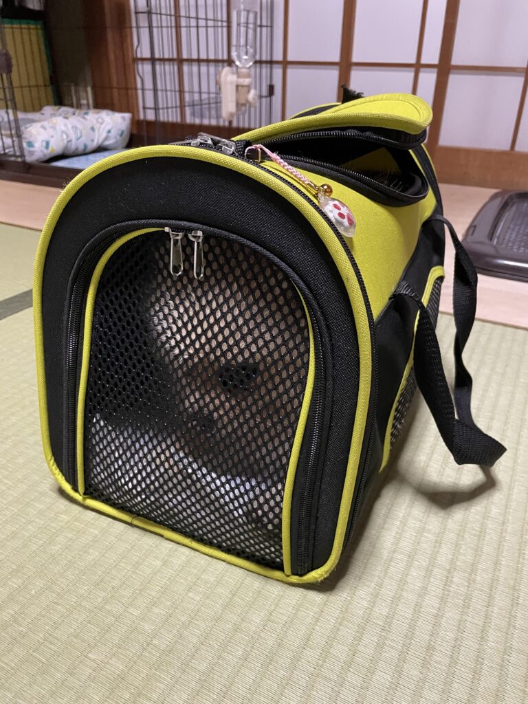 2025年9月12日_準備出来ました