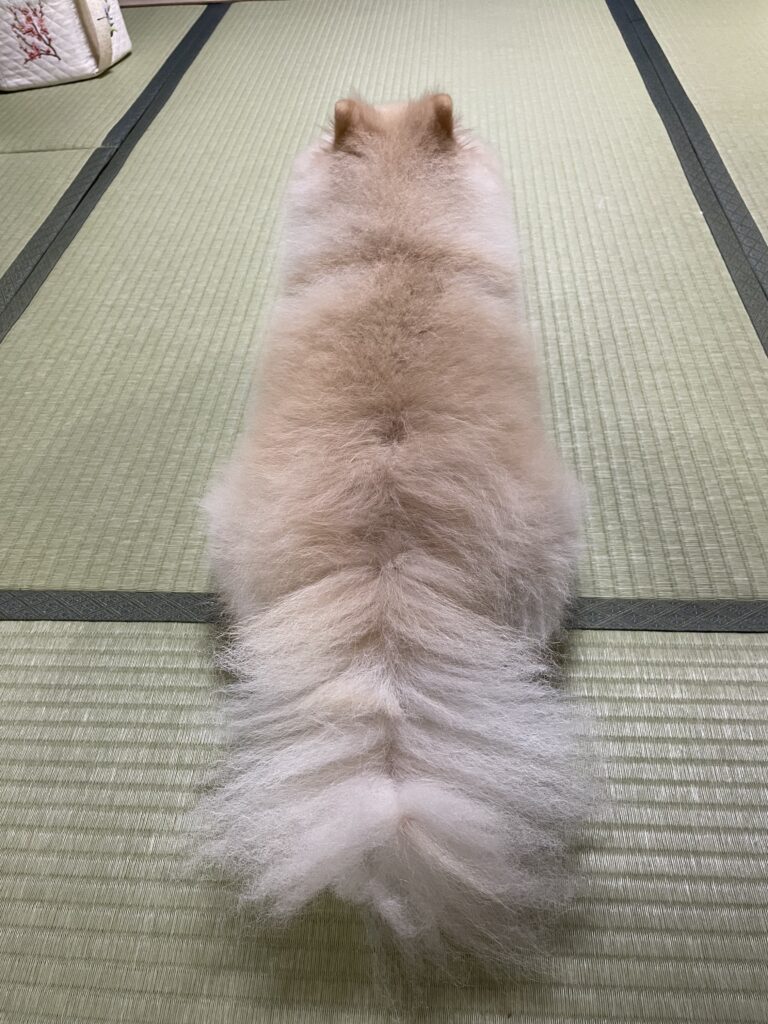 2025年10月17日_後ろ姿