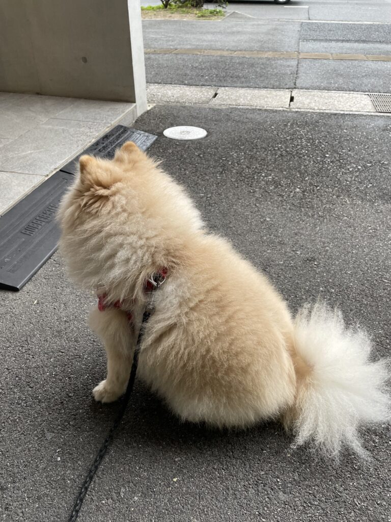 2025年12月15日_納骨堂 の前で