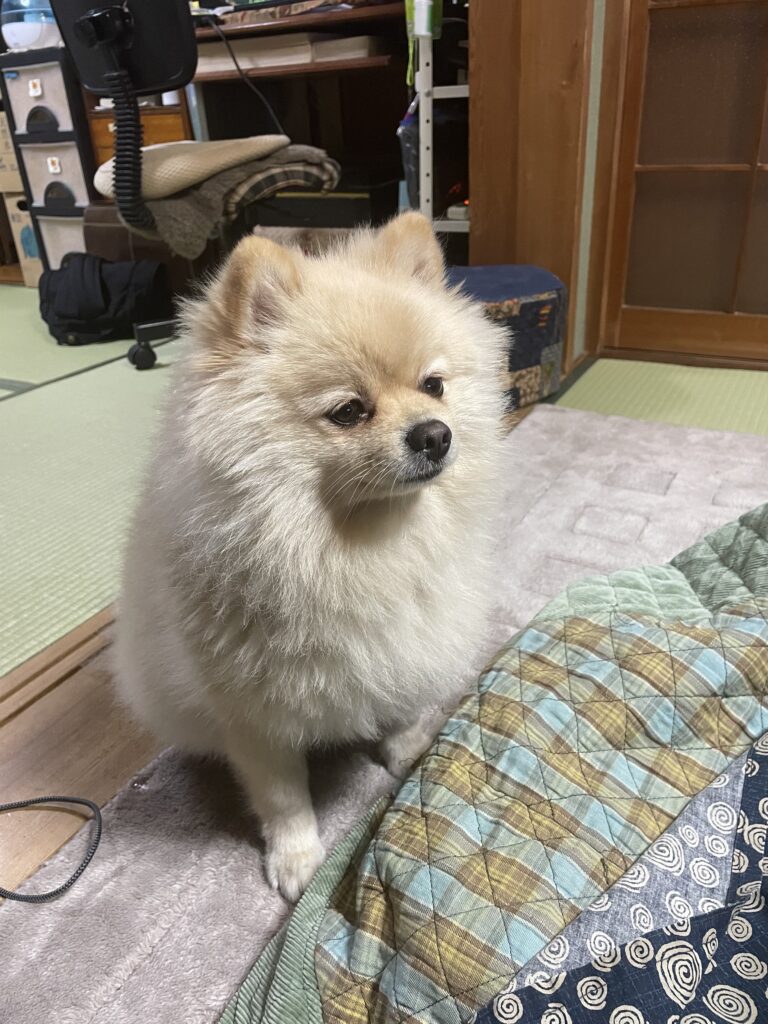 2025年12月8日_うわのそら