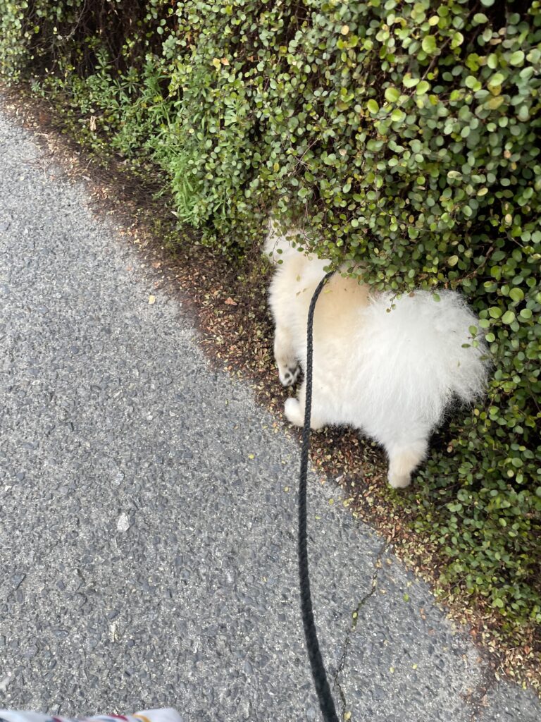 2026年3月22日_久しぶりに