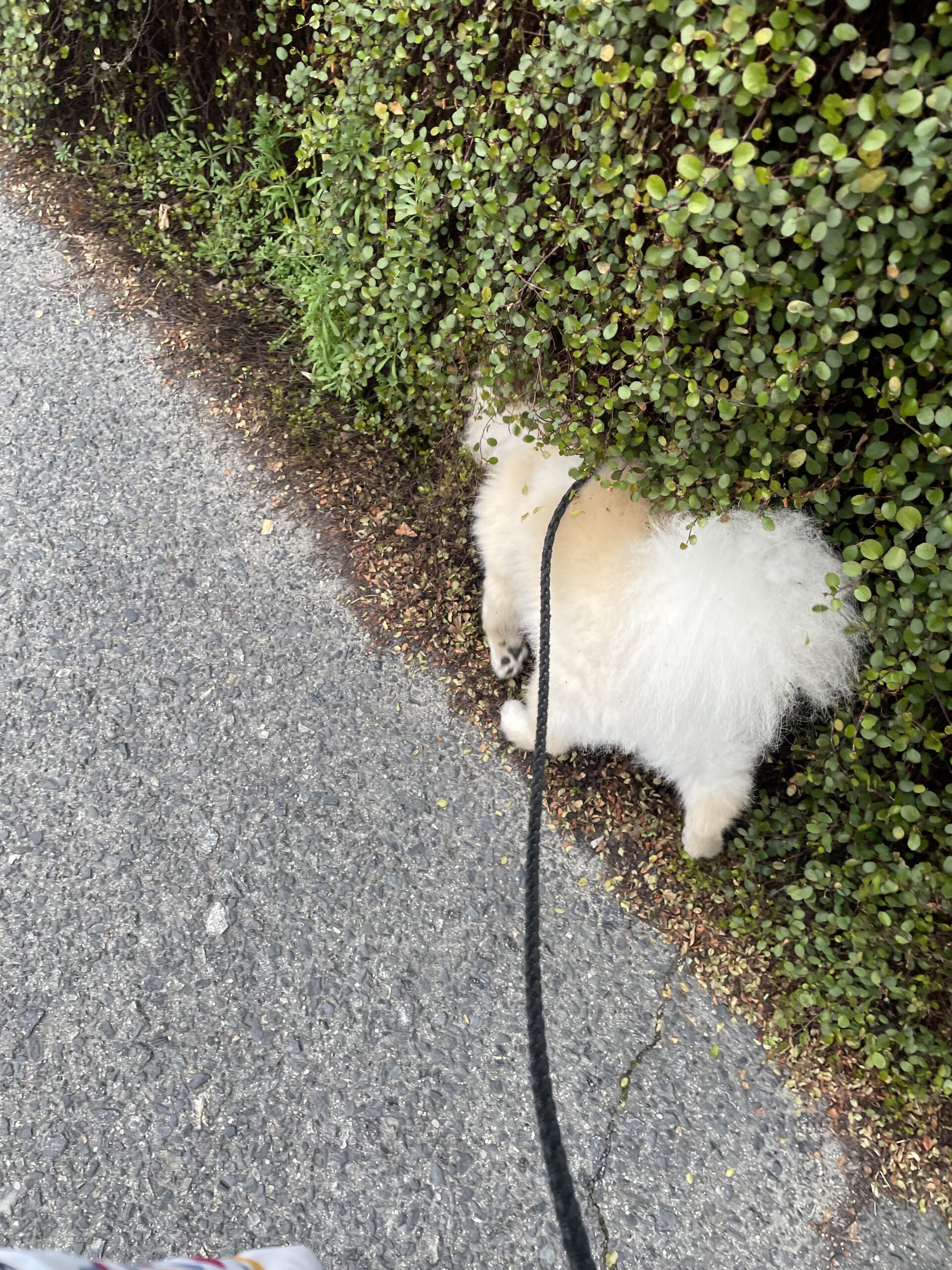 2026年3月22日_久しぶりに