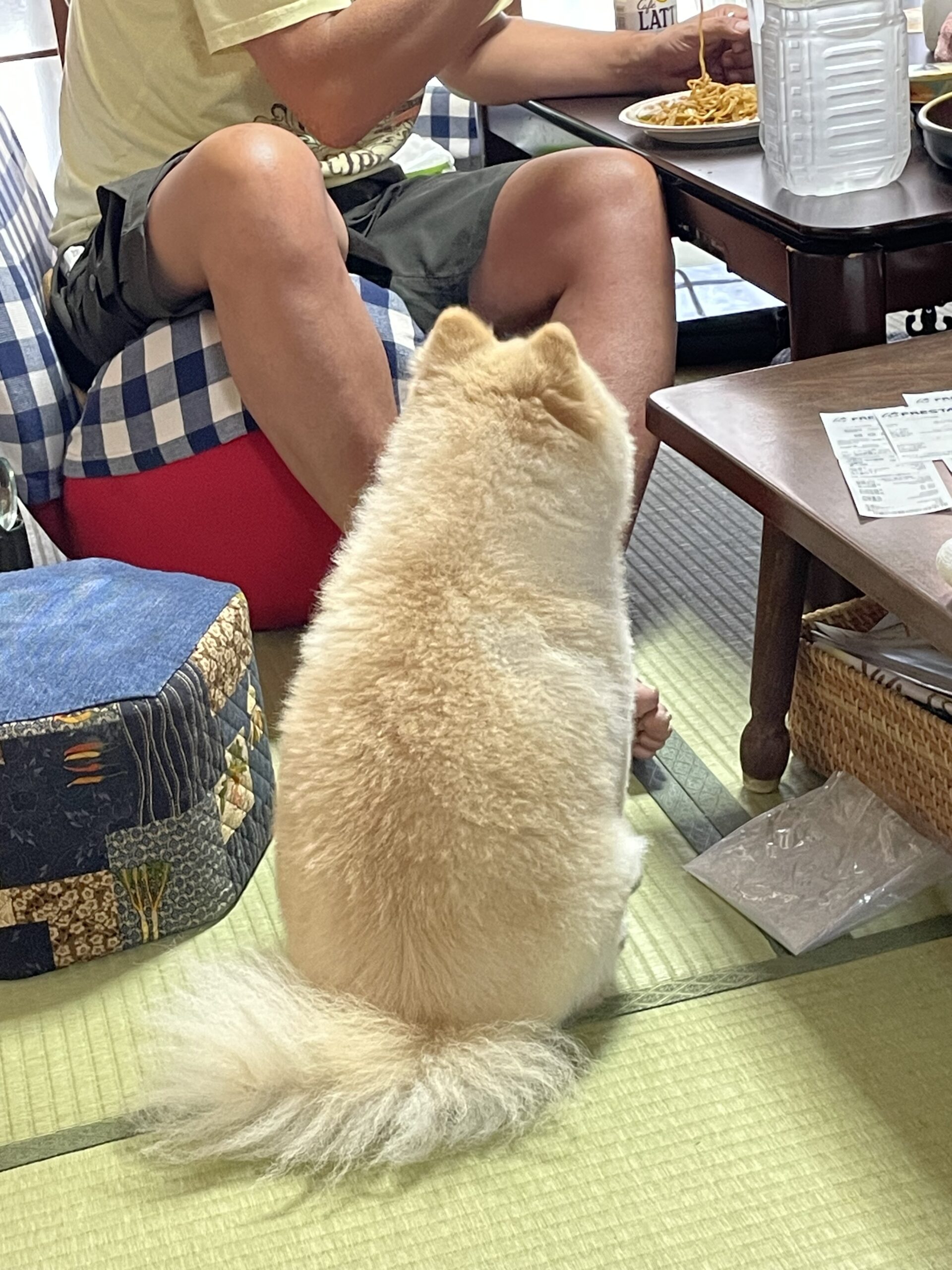 2026年8月15日_兄が帰省しました