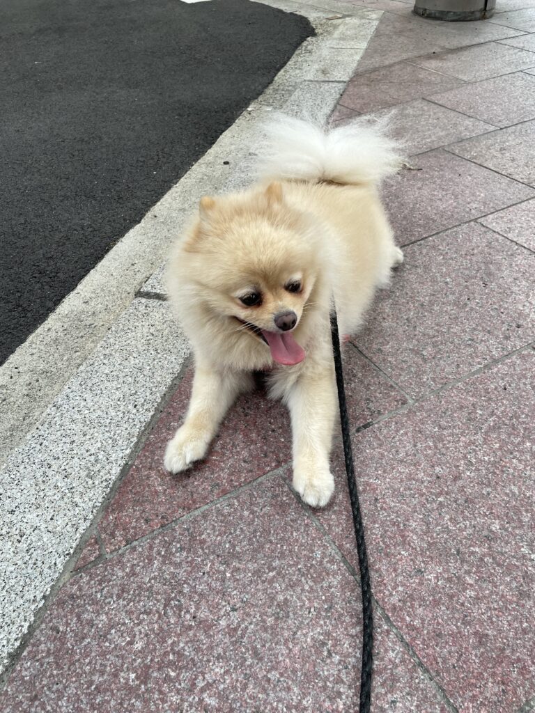 2026年9月7日_休憩してます