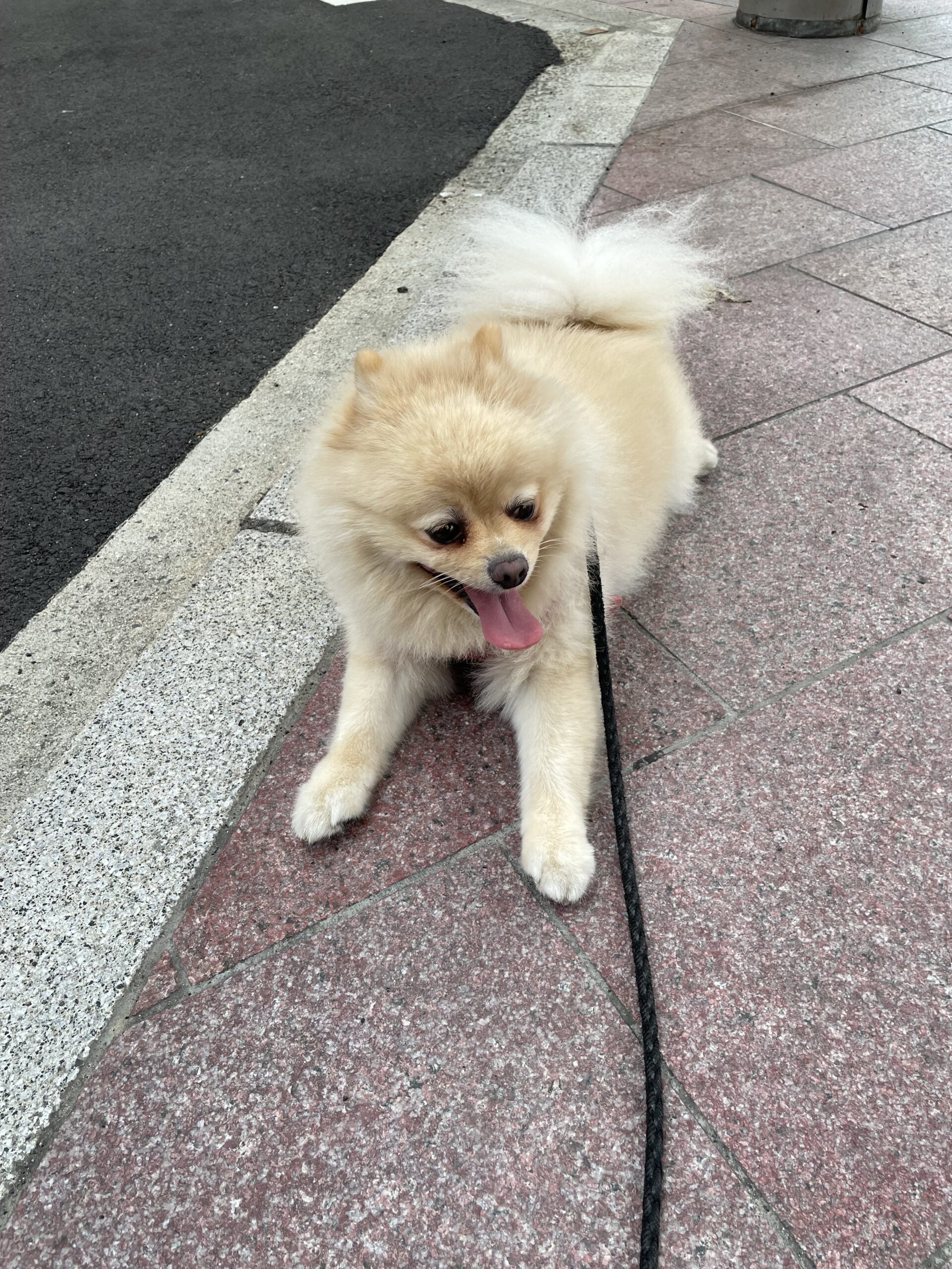 2026年9月7日_休憩してます